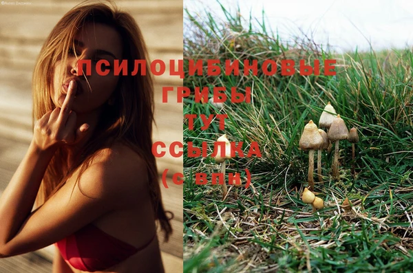 СК Балахна